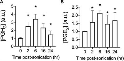 Acoustic Radiation or Cavitation Forces From Therapeutic Ultrasound Generate Prostaglandins and Increase Mesenchymal Stromal Cell Homing to Murine Muscle